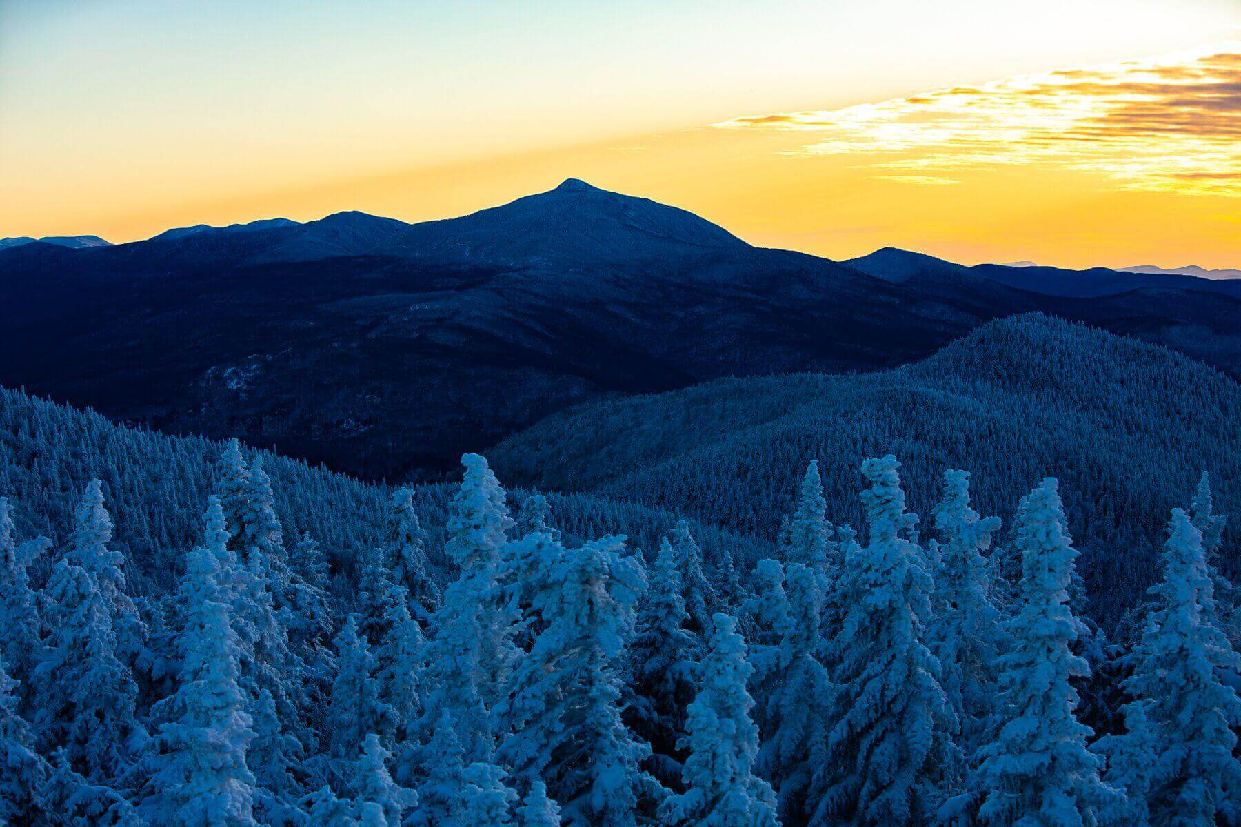 Take Action on Climate