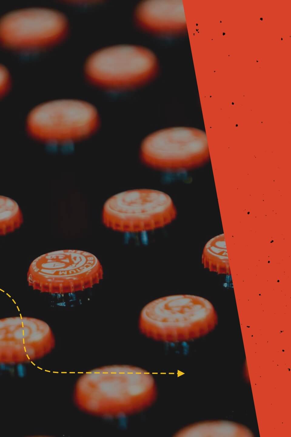 cans vs bottles hero mobile